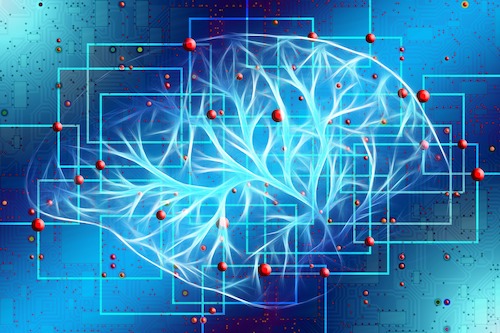 Neurogenesis